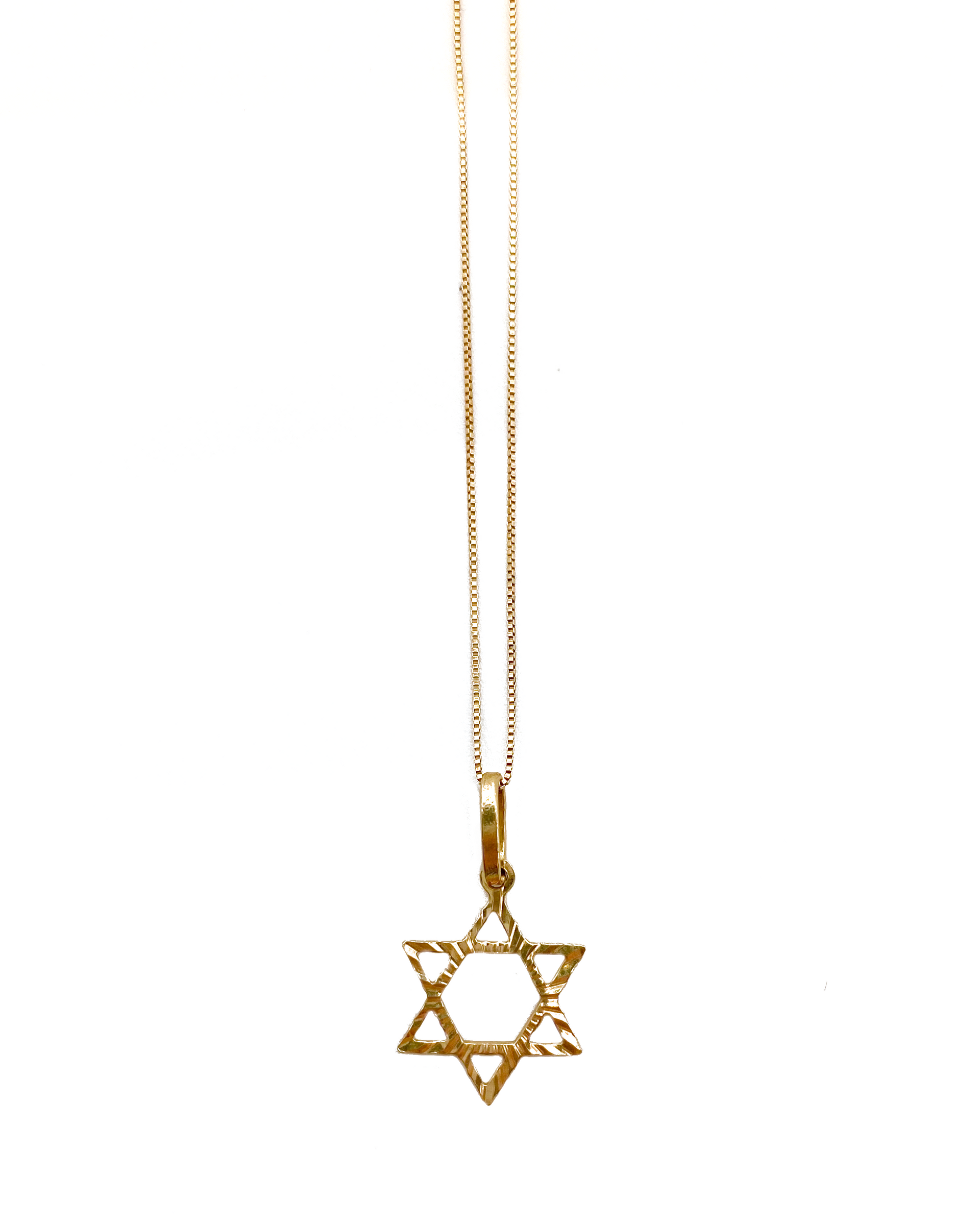 The Star of David Necklace