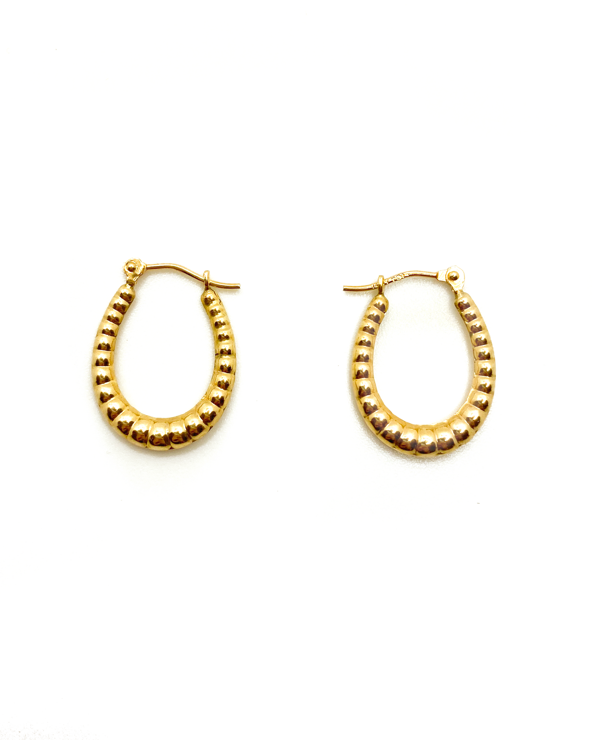 Seashell Oval Hoops